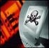Sophos y Sun crean solución conjunta de seguridad 6973a_tn_virus2.jpg
