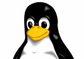 Peligroso agujero de Linux fue detectado después de un año IF