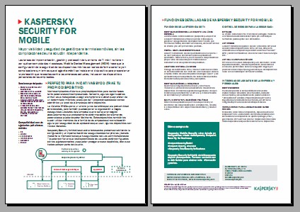 Kaspersky thumb data sheet