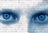 “Cuatro cámaras siguen continuamente el movimiento de tus ojos” shutterstock_138439007_Juergen_Faelchle.jpg