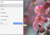 Chrome incorporará soporte para apps “efímeras” Chromium-apps-800px