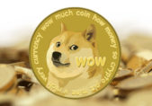 Nuevo malware para móviles Android explota monedas virtuales como Bitcoin, Dogecoin y Litecoin dogecoin_800px