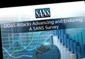 Las empresas experimentan una media de 4,5 incidentes DDoS al año y costosas interrupciones de servicio corero estudio ddos