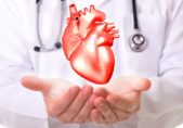 Realidad virtual, crean un corazón humano con tecnología 3D shutterstock_183459098_Vinne