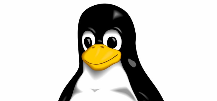 Universidad comienza a desfasar Linux y se decide por Microsoft