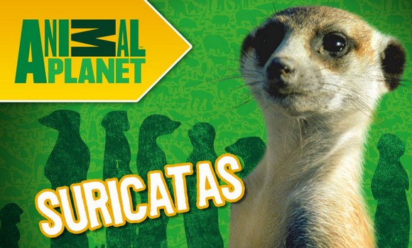 Animal Planet y LivoBooks lanzan libro interactivo para iPad
