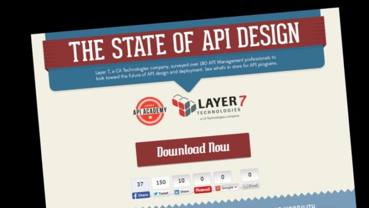 CA Technologies API Application Programming Interface