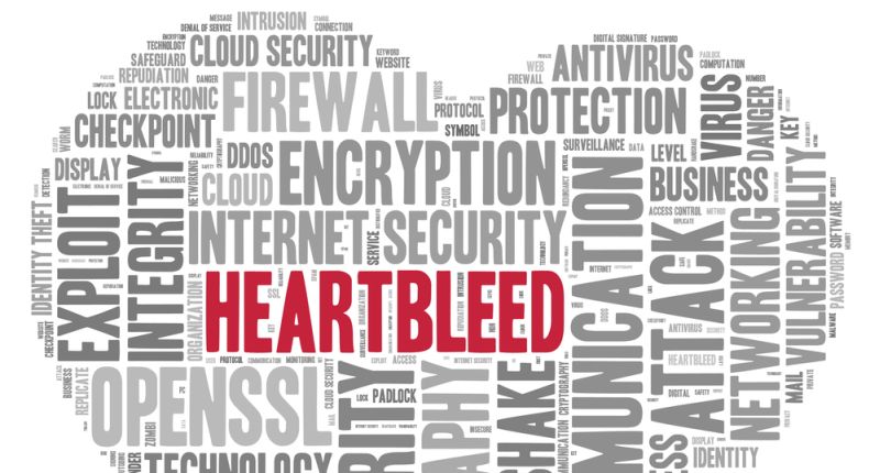 Kaspersky Lab ofrece claves para proteger datos frente a Heartbleed