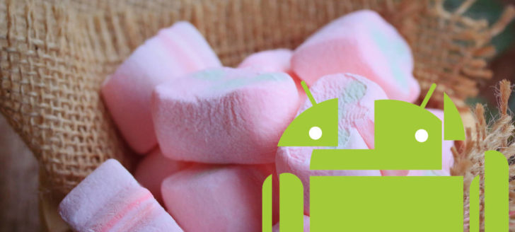 Marshmallow malvavisco