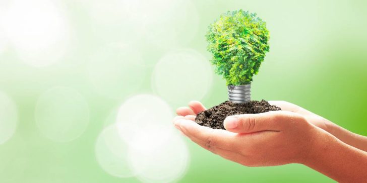 sostenibilidad verde