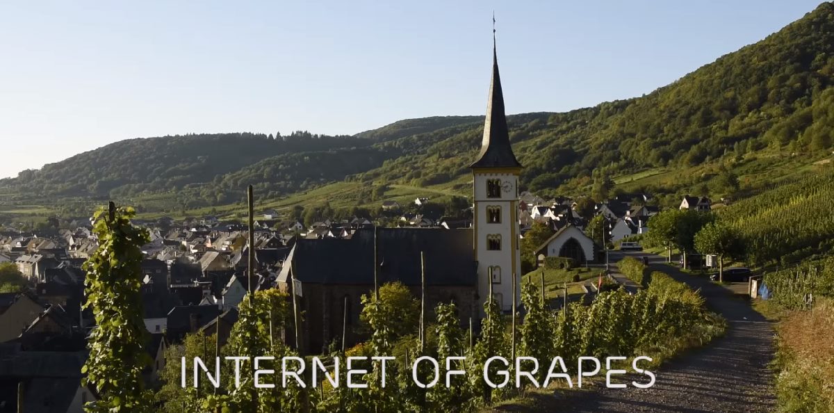 Ericsson-Internet-de-las-Uvas
