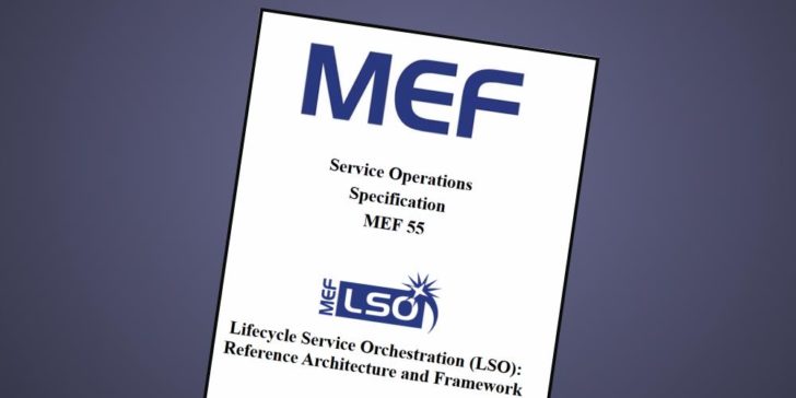 MEF-LSO-55