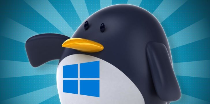 Windows 10 y Linux