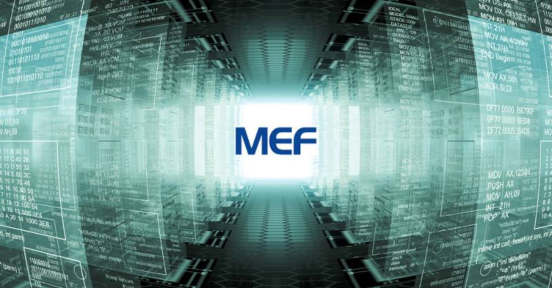 MEF