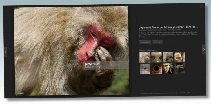 getty-google
