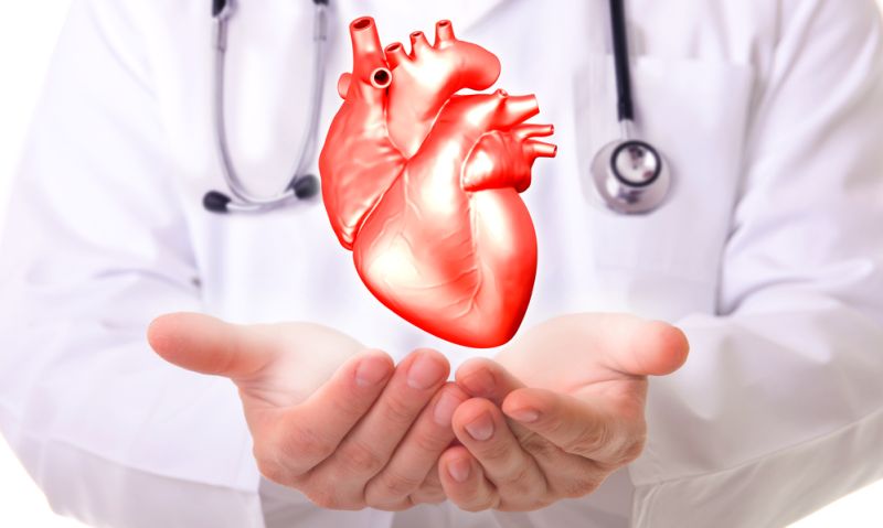 ¿Se puede hackear un corazón humano?