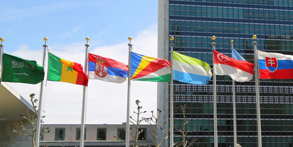 ONU Naciones Unidas