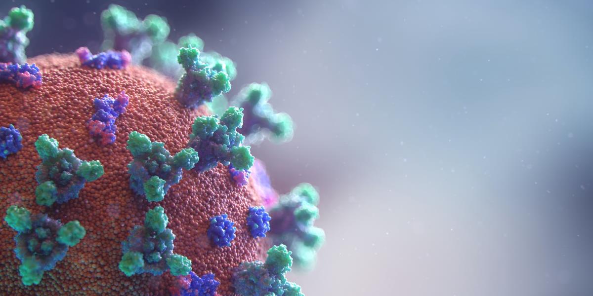 Crean portal de 400 bases de datos sobre el Coronavirus