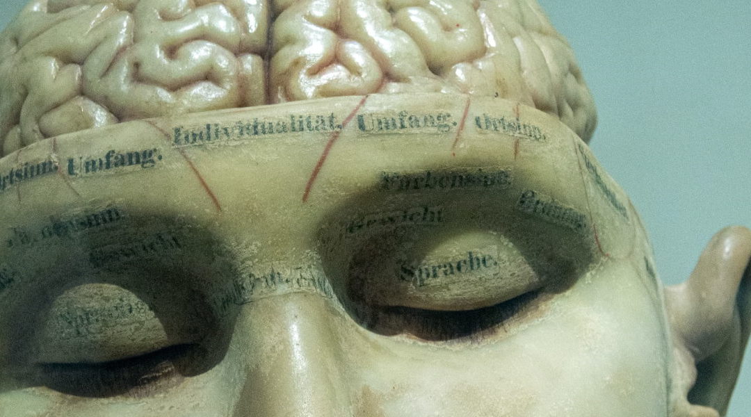 Modelo de IA puede predecir la aparición de Alzheimer