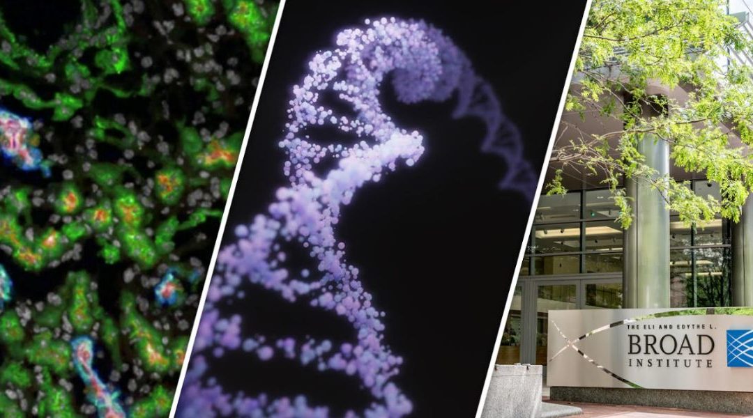 El Instituto Broad y NVIDIA llevan NVIDIA Clara a Terra Cloud para 25.000 investigadores biomédicos