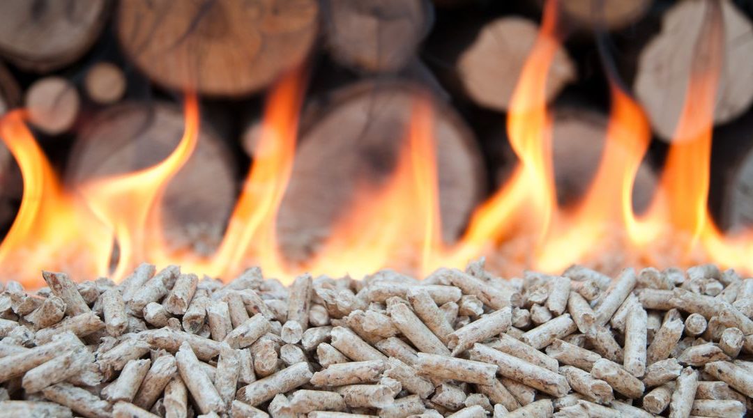 Optimizan la combustión de biomasa para calderas industriales gracias a la Inteligencia Artificial