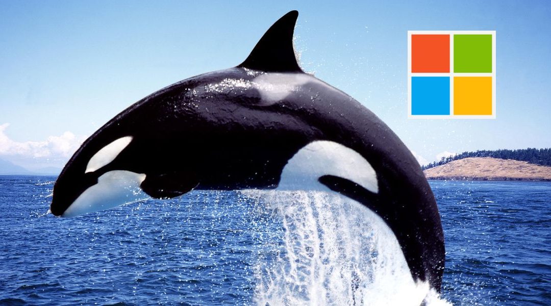 Orca: El nuevo modelo de IA de Microsoft que imita a GPT-4